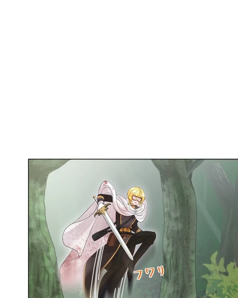 The Holy Sword Lady
