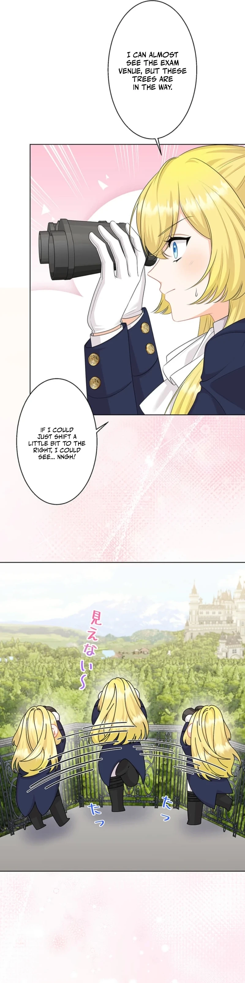 The Holy Sword Lady
