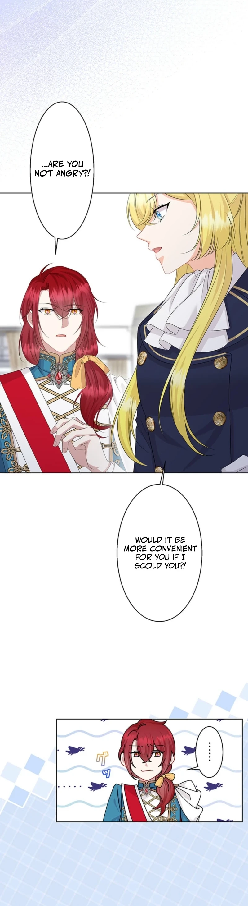 The Holy Sword Lady