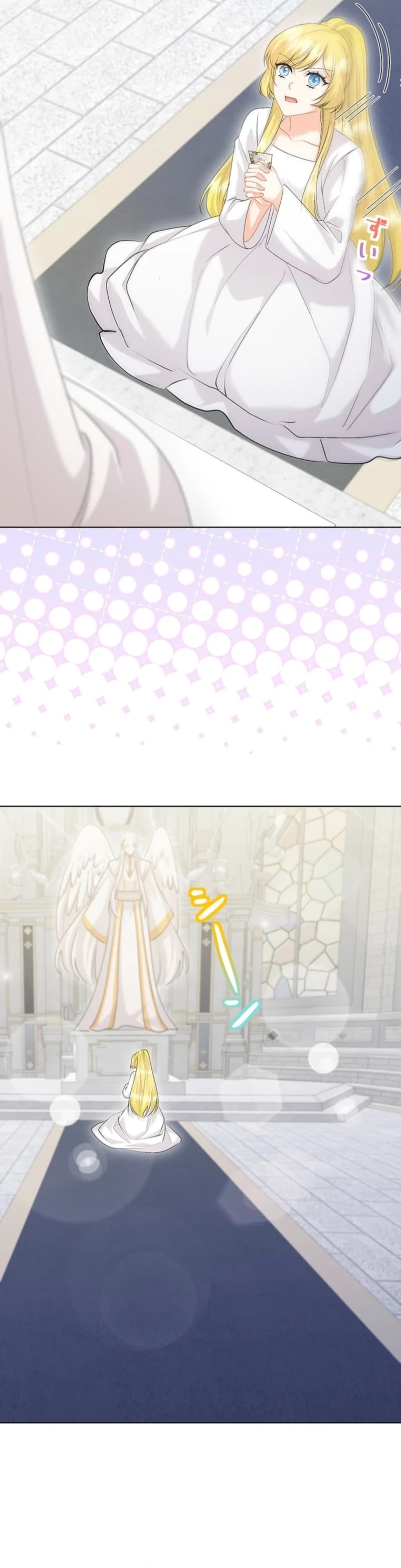 The Holy Sword Lady