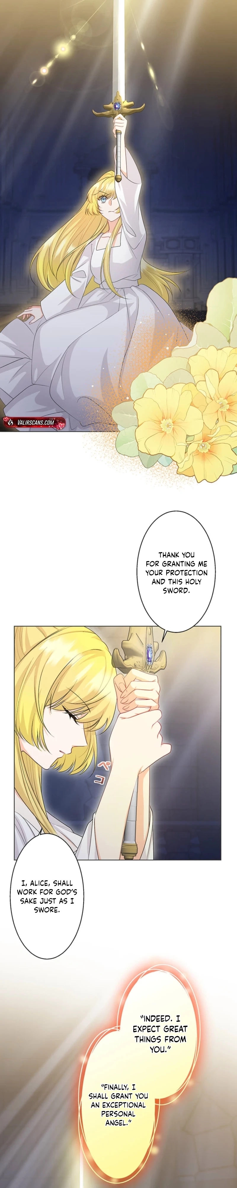 The Holy Sword Lady