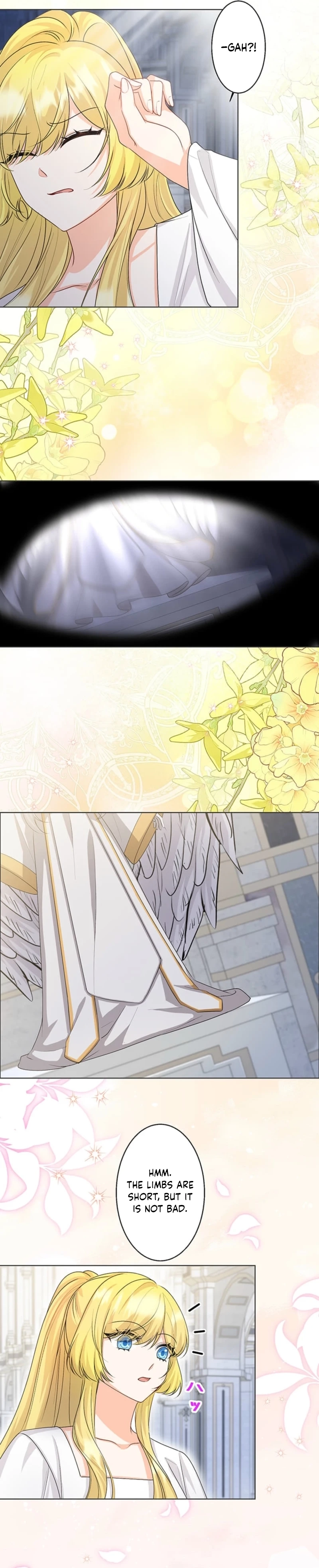 The Holy Sword Lady