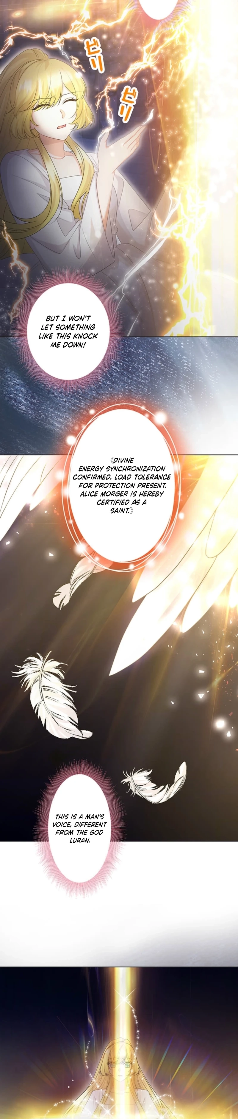 The Holy Sword Lady