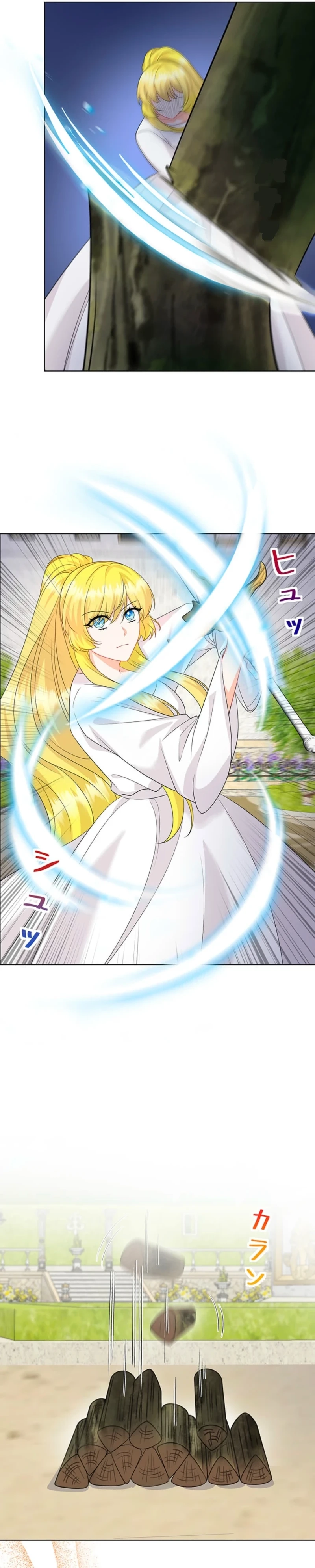 The Holy Sword Lady