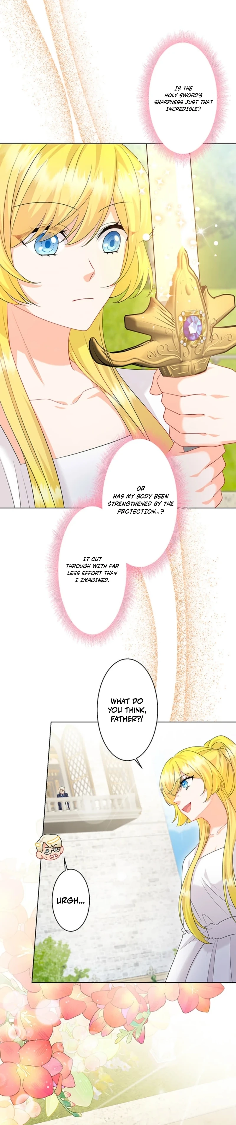The Holy Sword Lady