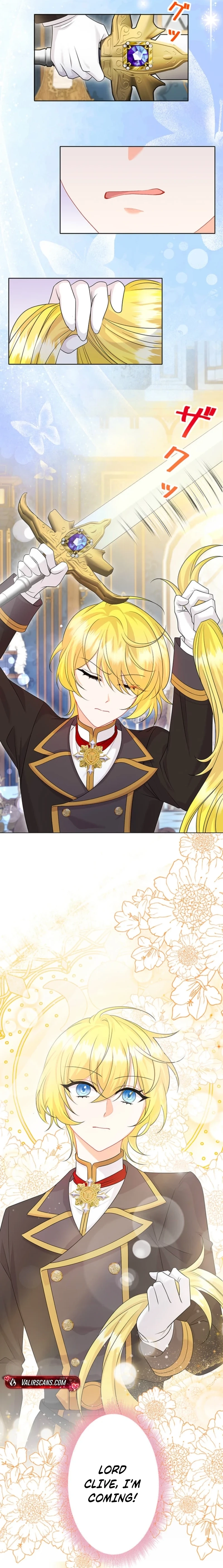 The Holy Sword Lady