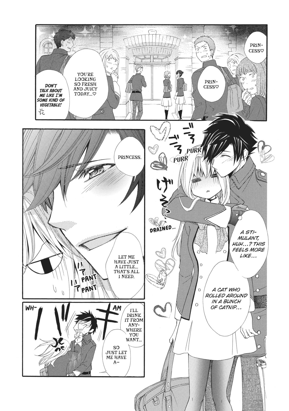 The Honey-blood Beauty & Her Vampire Chapter 5 page 13 - 