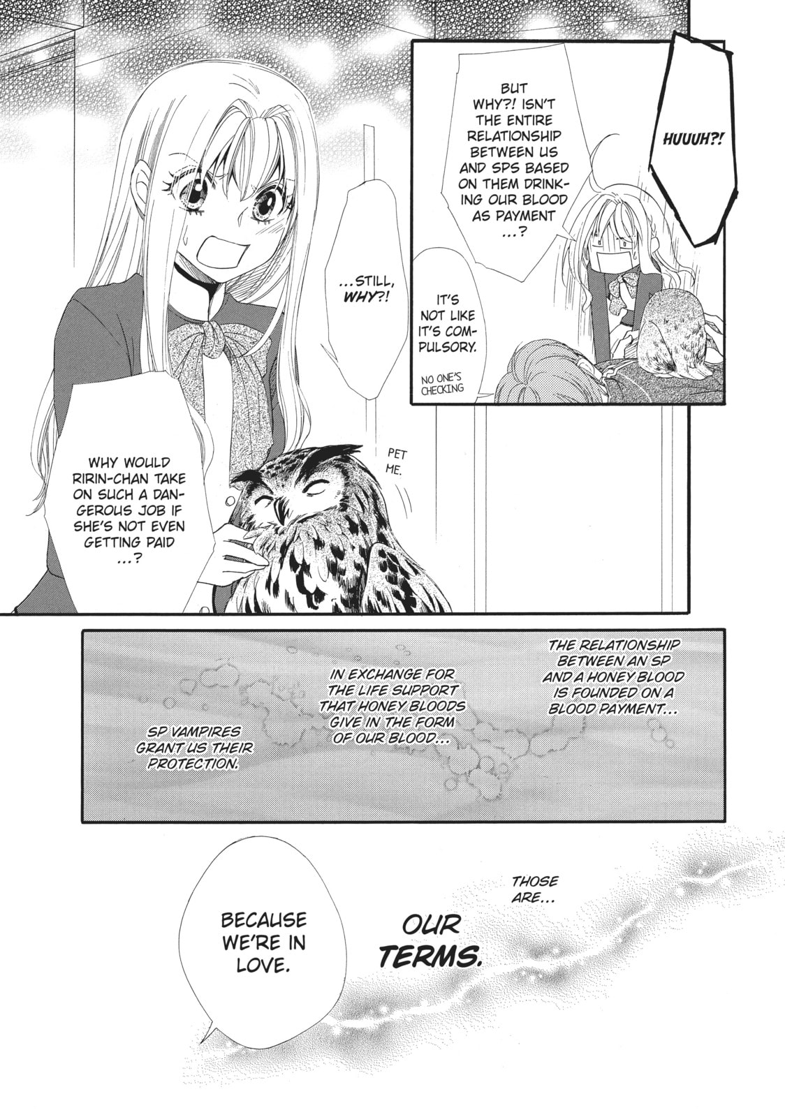 The Honey-blood Beauty & Her Vampire Chapter 6 page 11 - 