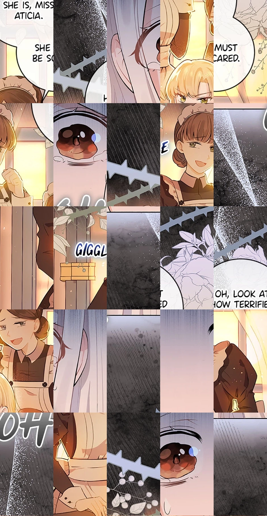  Chapter 1 page 15 - 
