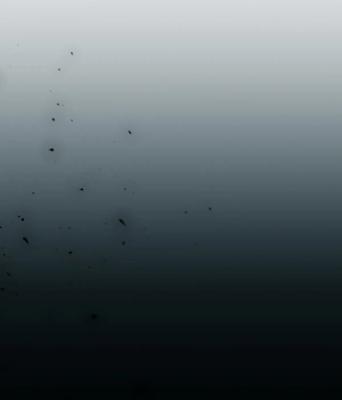 The Hunter