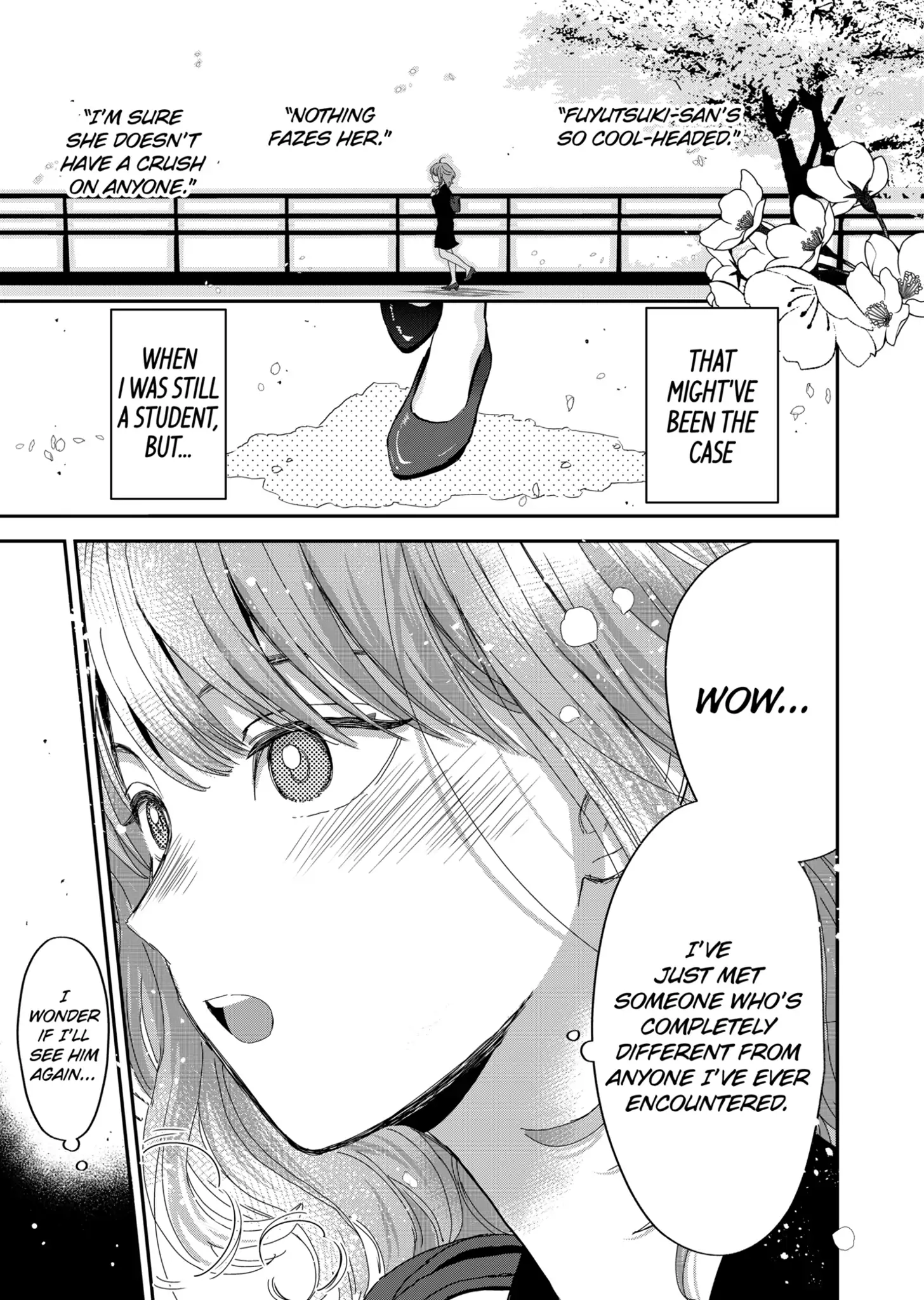 The Ice Guy and His Cool Female Colleague Chapter 15.5 page 15 - 