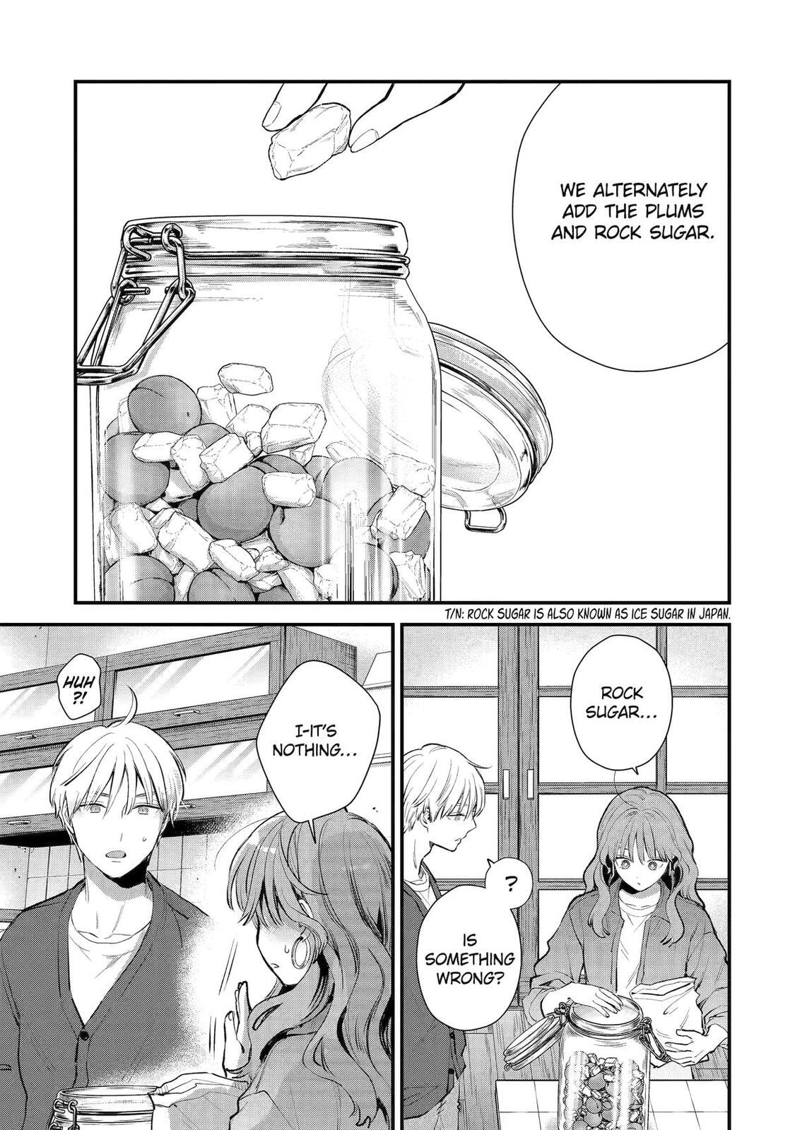 The Ice Guy and the Cool Girl Chapter 68 page 17 - 