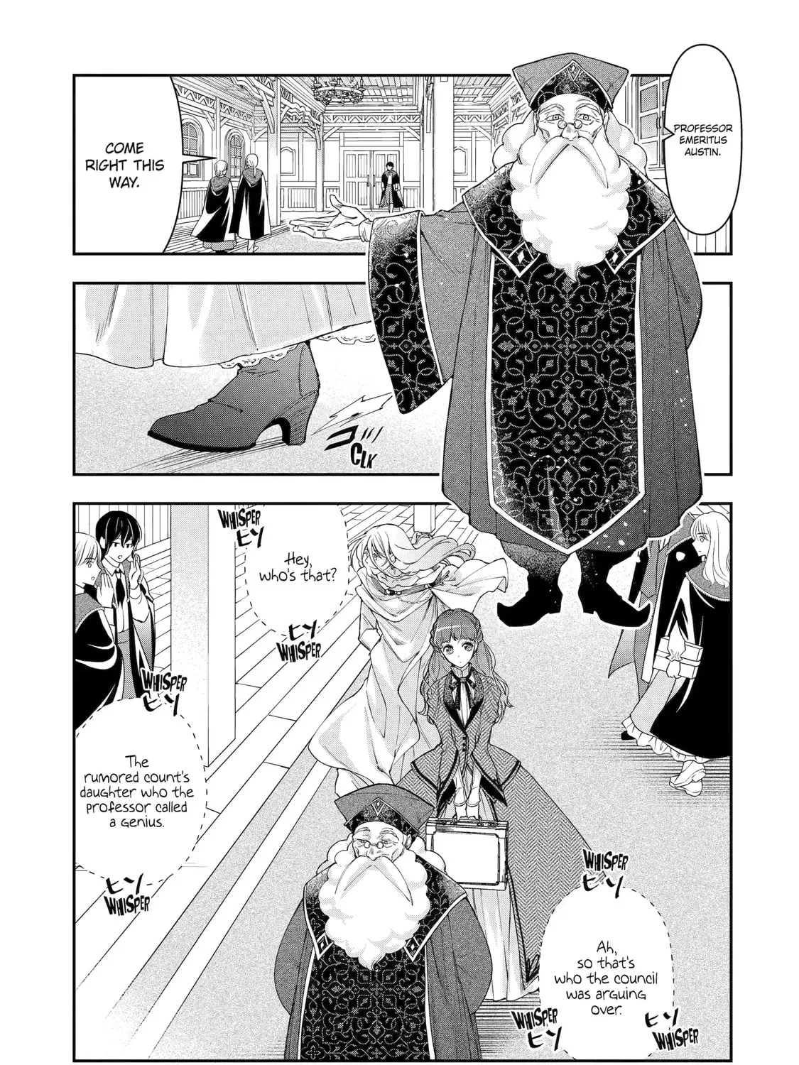 The Ice Mage