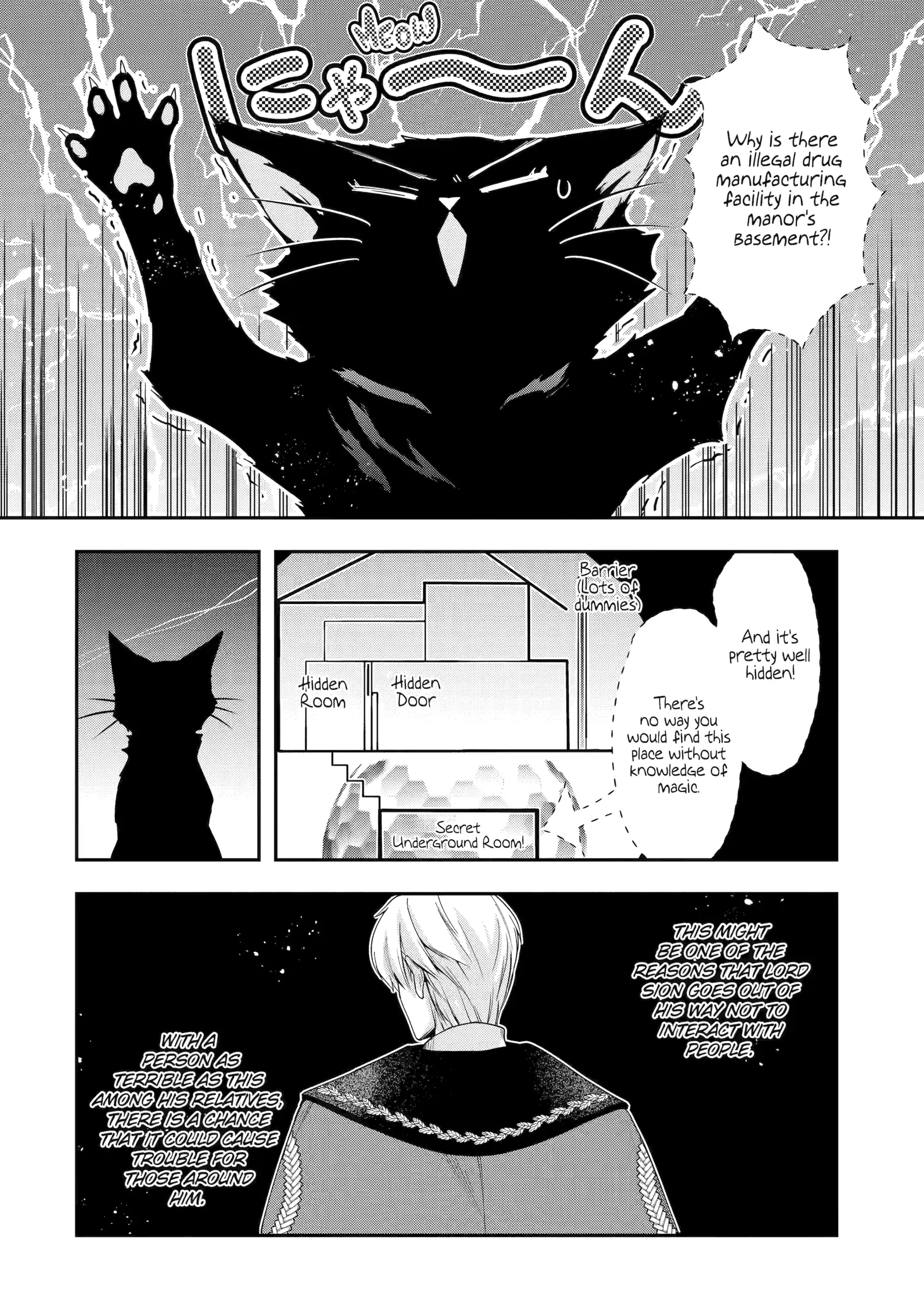 The Ice Mage