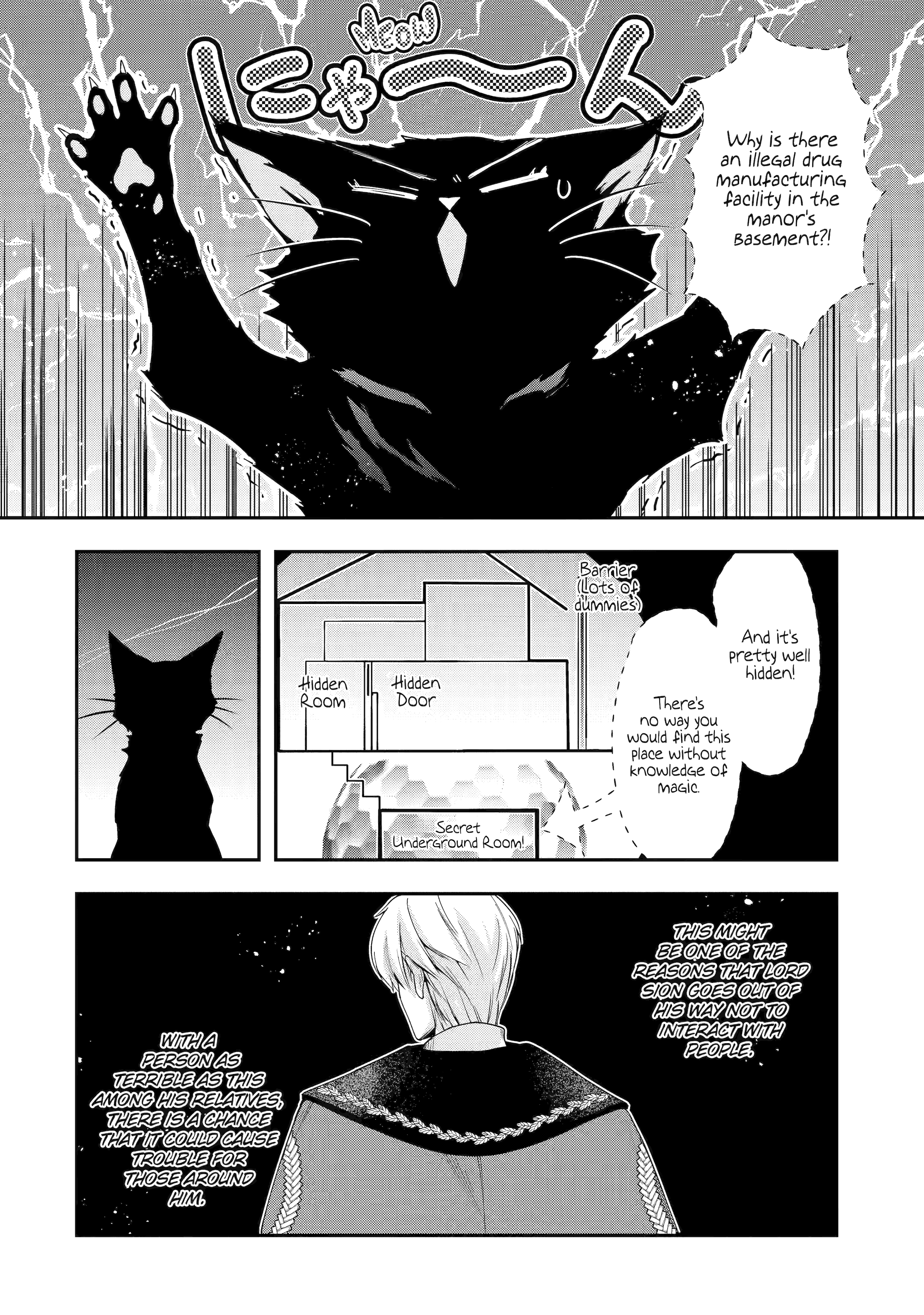 The Ice Mage