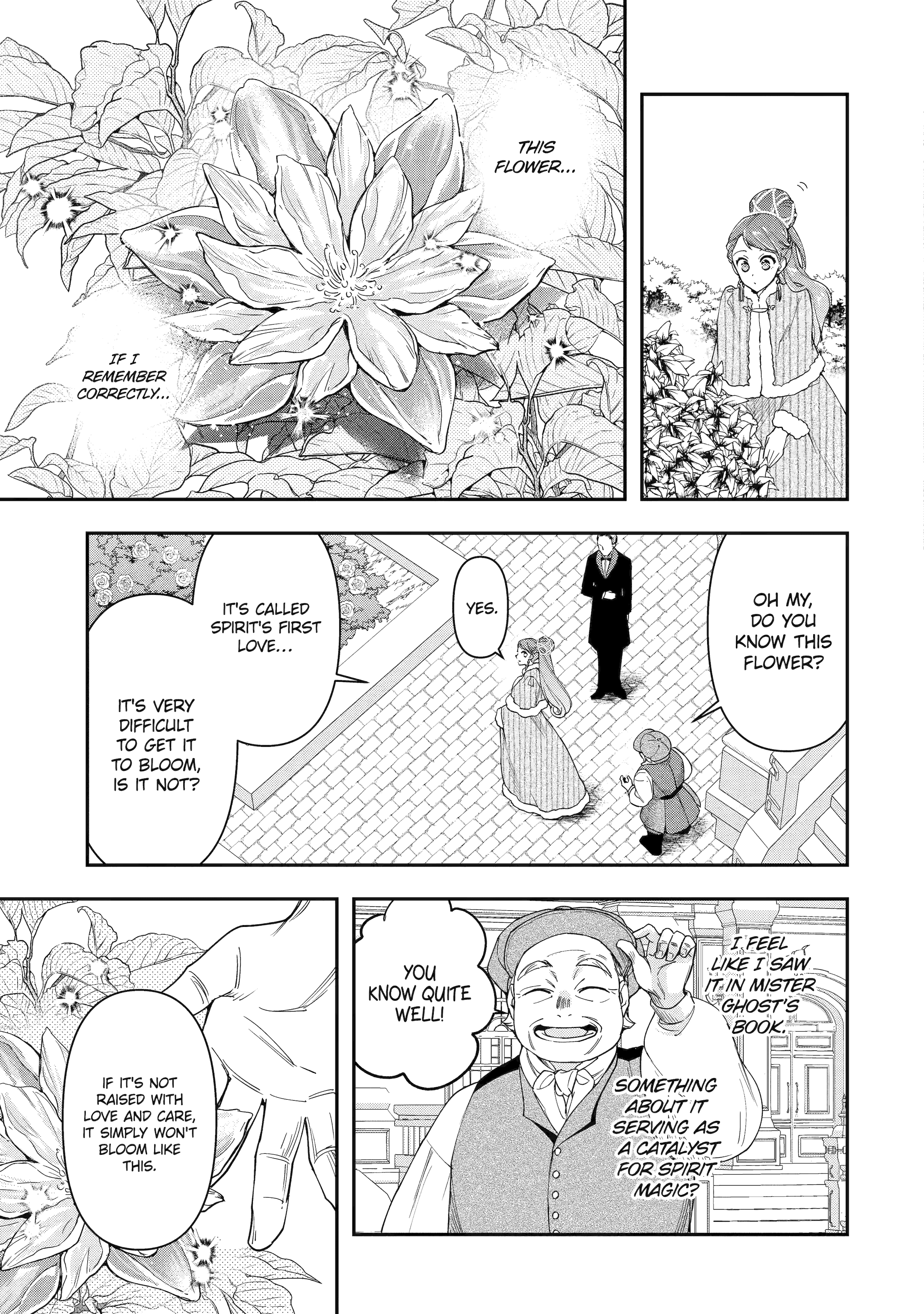 The Ice Mage