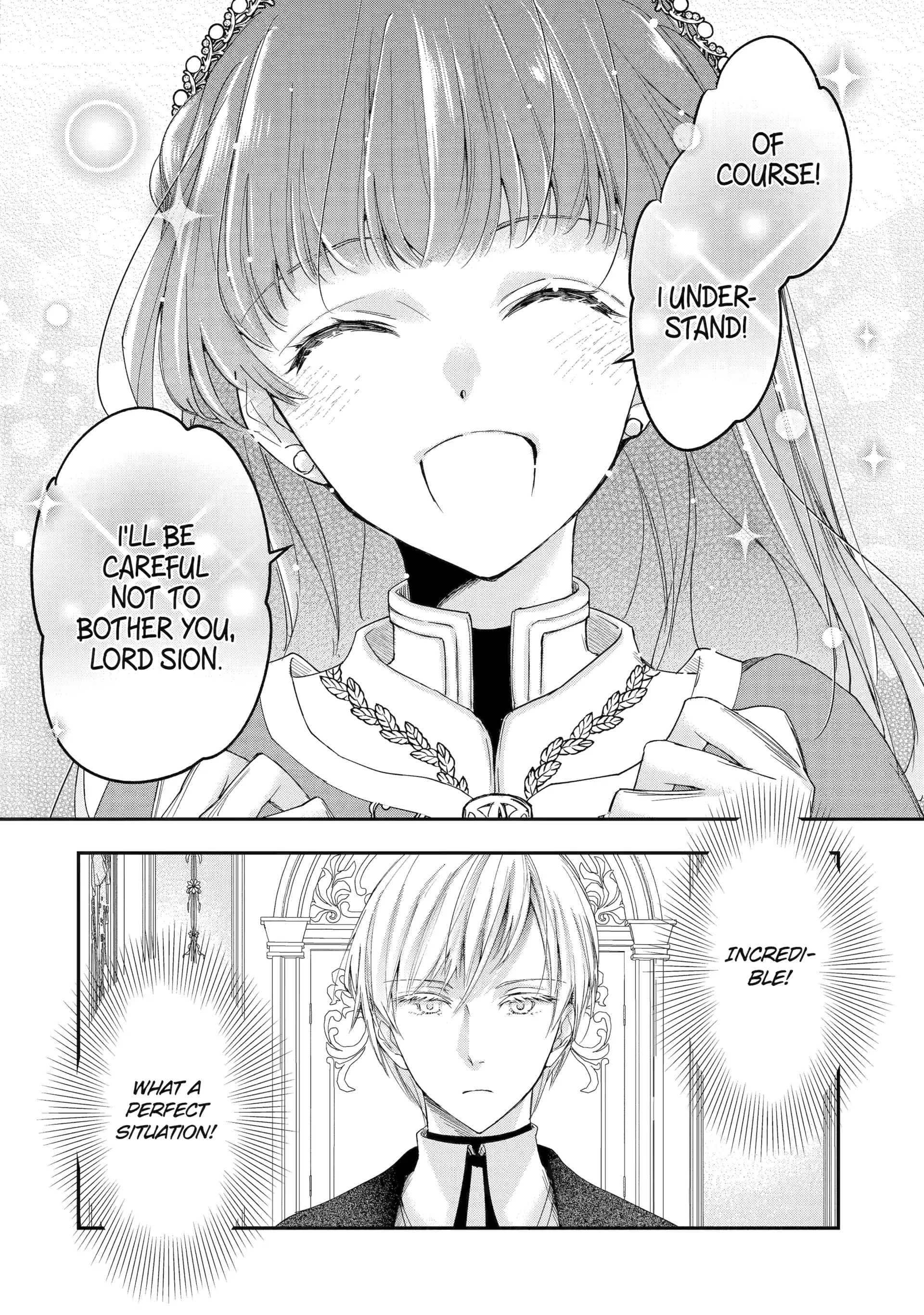 The Ice Mage