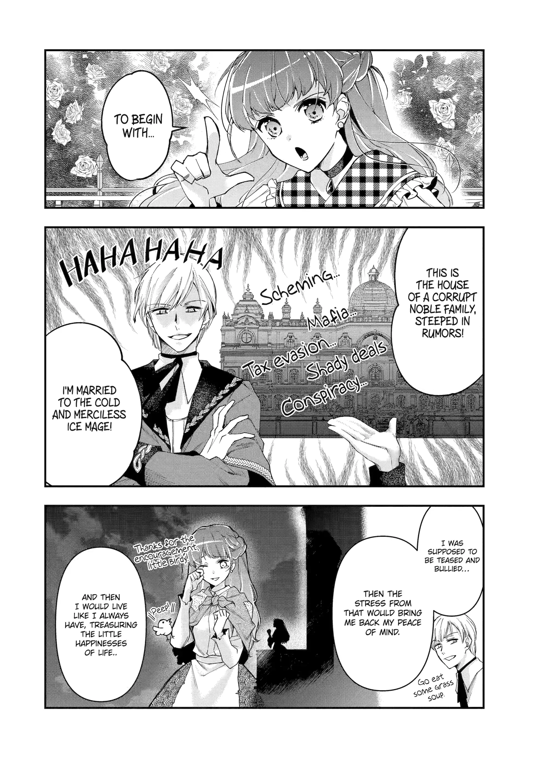 The Ice Mage