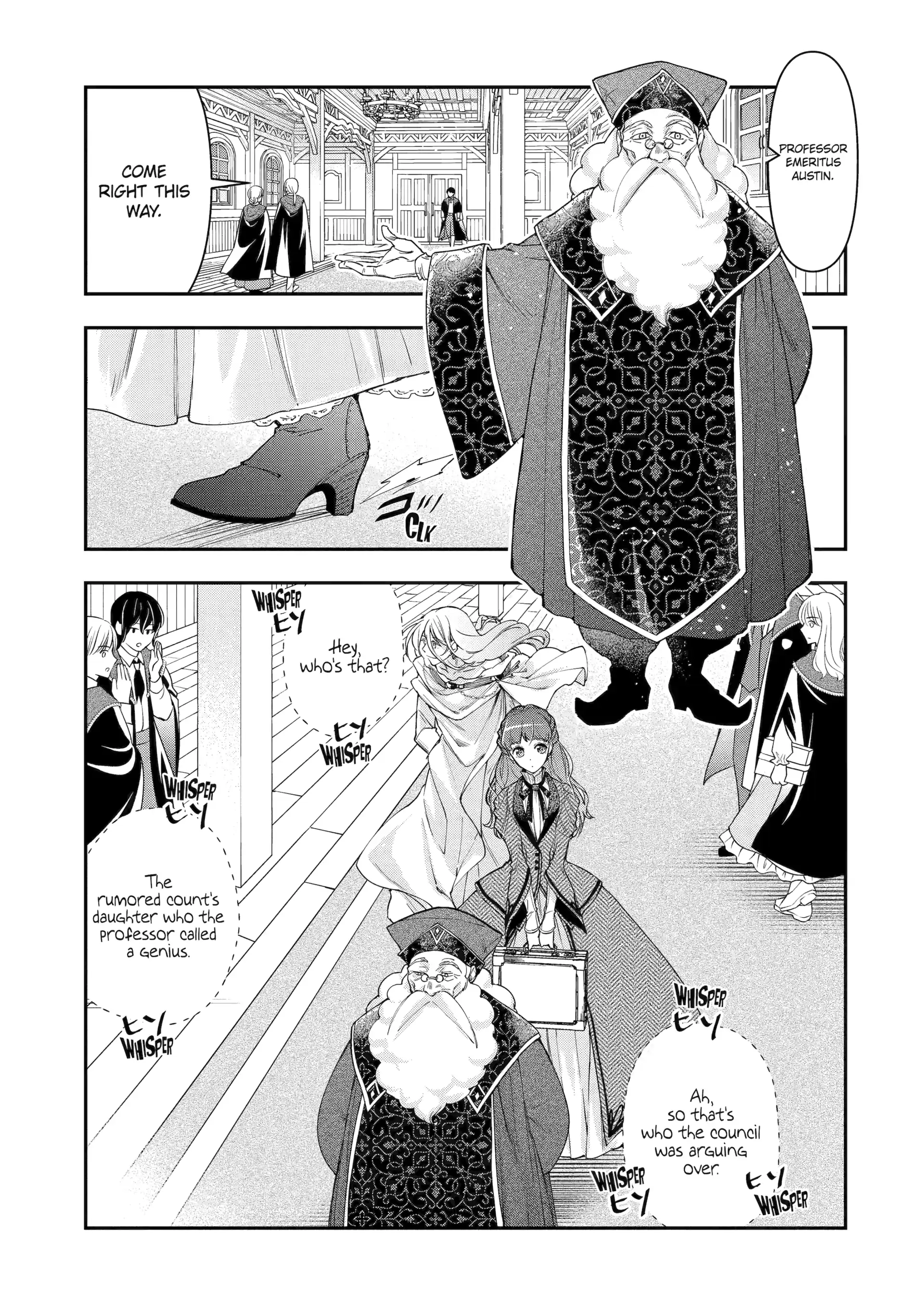 The Ice Mage
