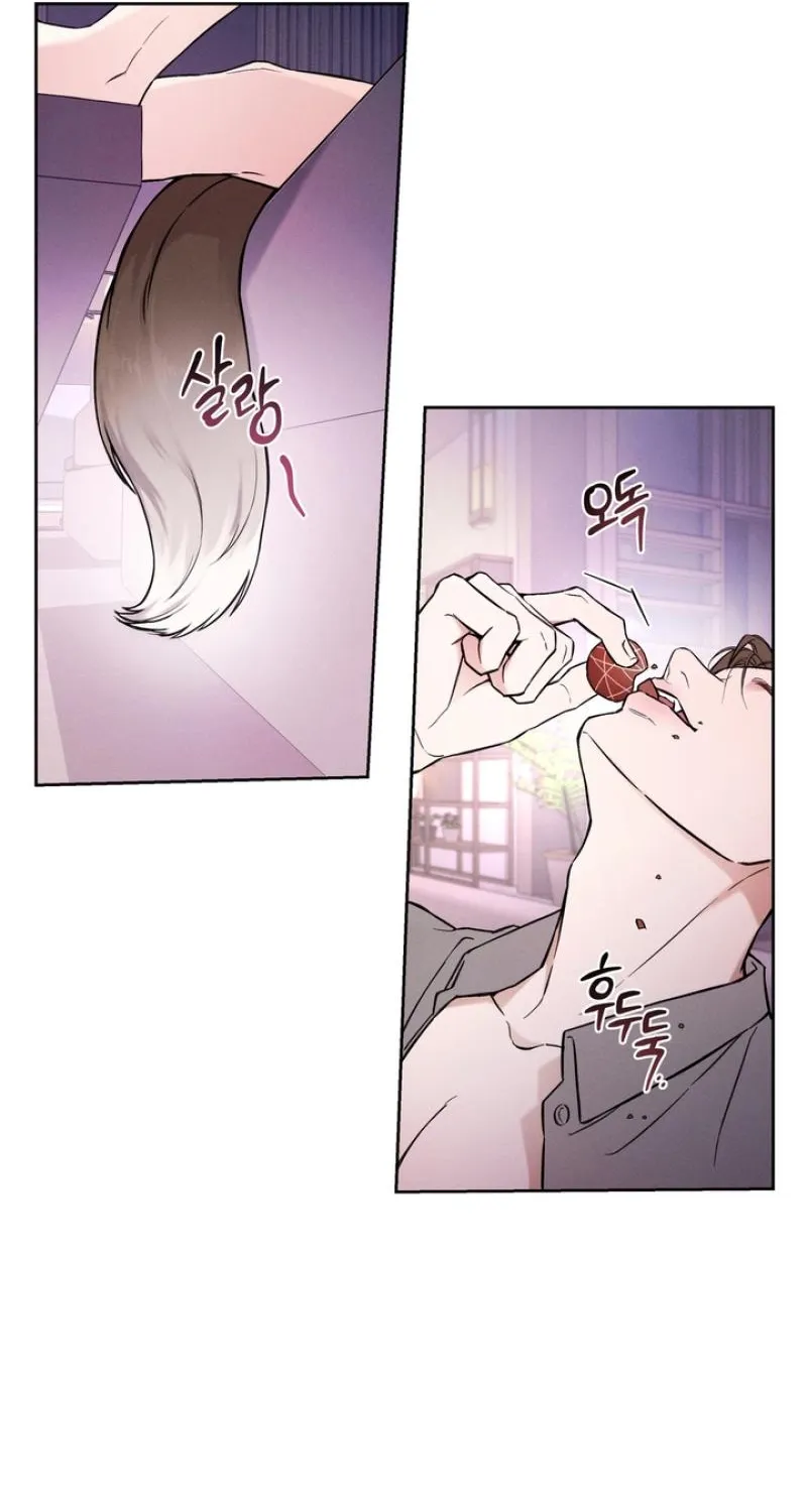 The Immortal Tail Chapter 1 page 9 - 