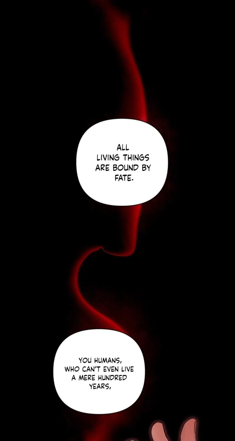 The Immortal Tail Chapter 2 page 2 - 