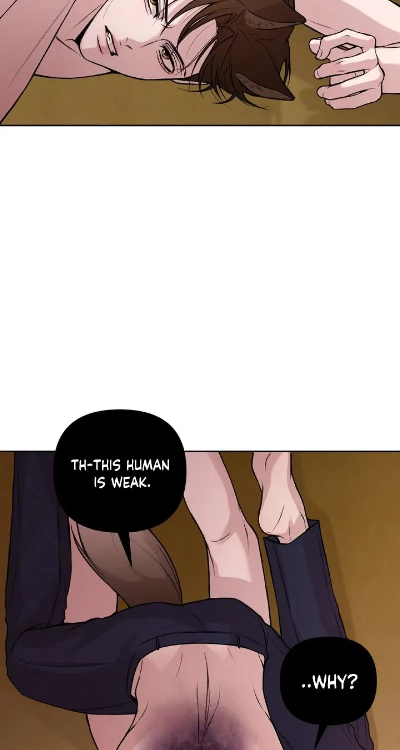 The Immortal Tail Chapter 3 page 31 - 