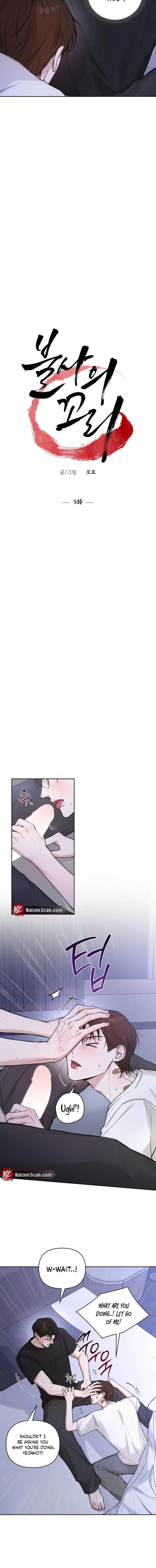 The Immortal Tail Chapter 5 page 3 - 
