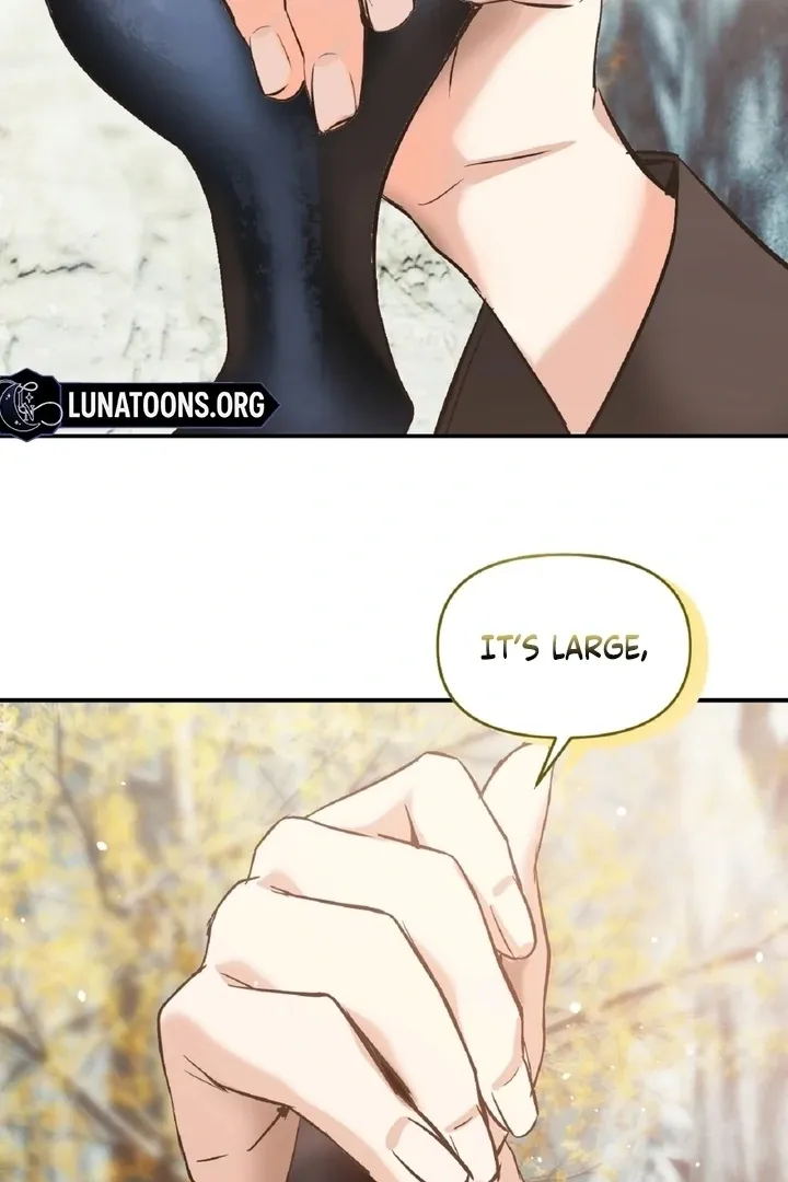 The Imugi’s Consort Chapter 1 page 50 - 
