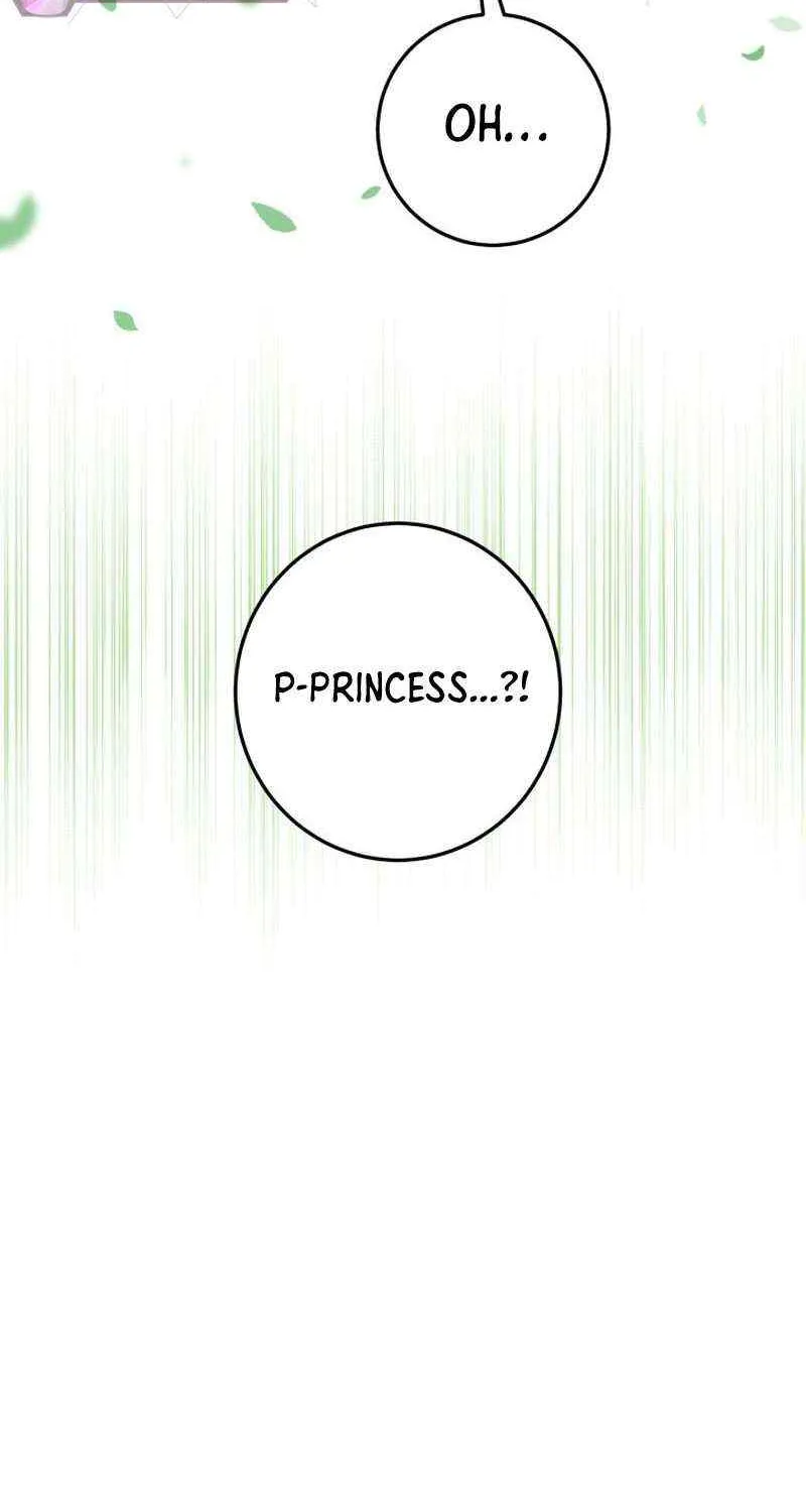 The Incognito Princess Chapter 12 page 30 - 