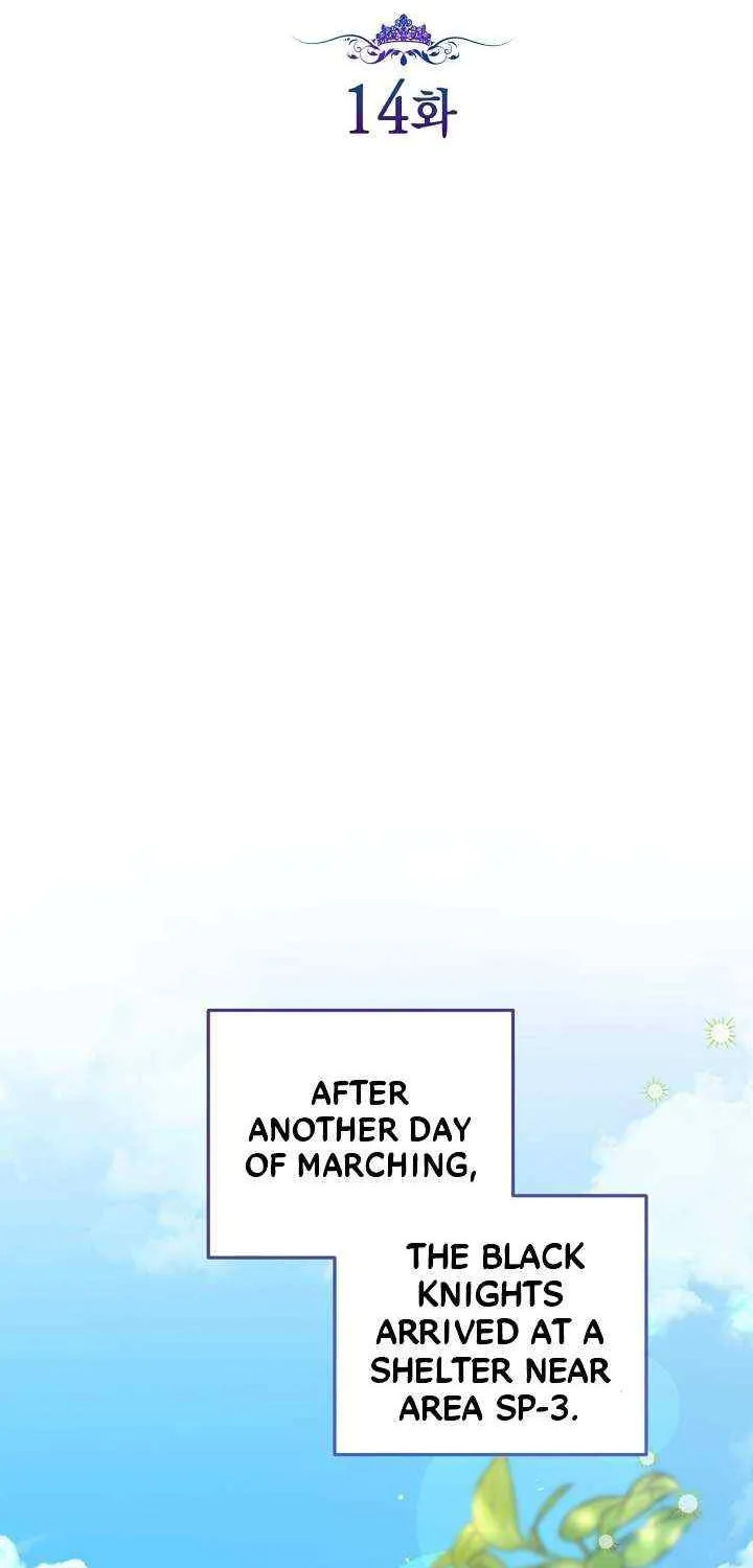 The Incognito Princess Chapter 14 page 27 - 