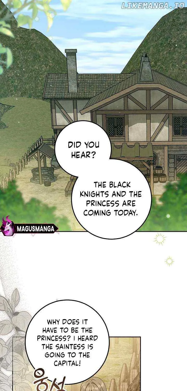 The Incognito Princess Chapter 14 page 29 - 