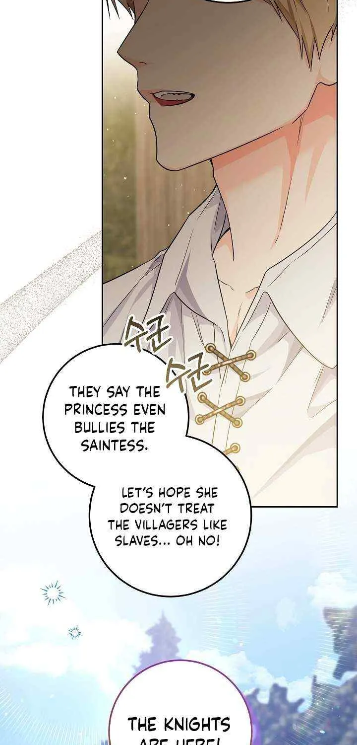 The Incognito Princess Chapter 14 page 31 - 