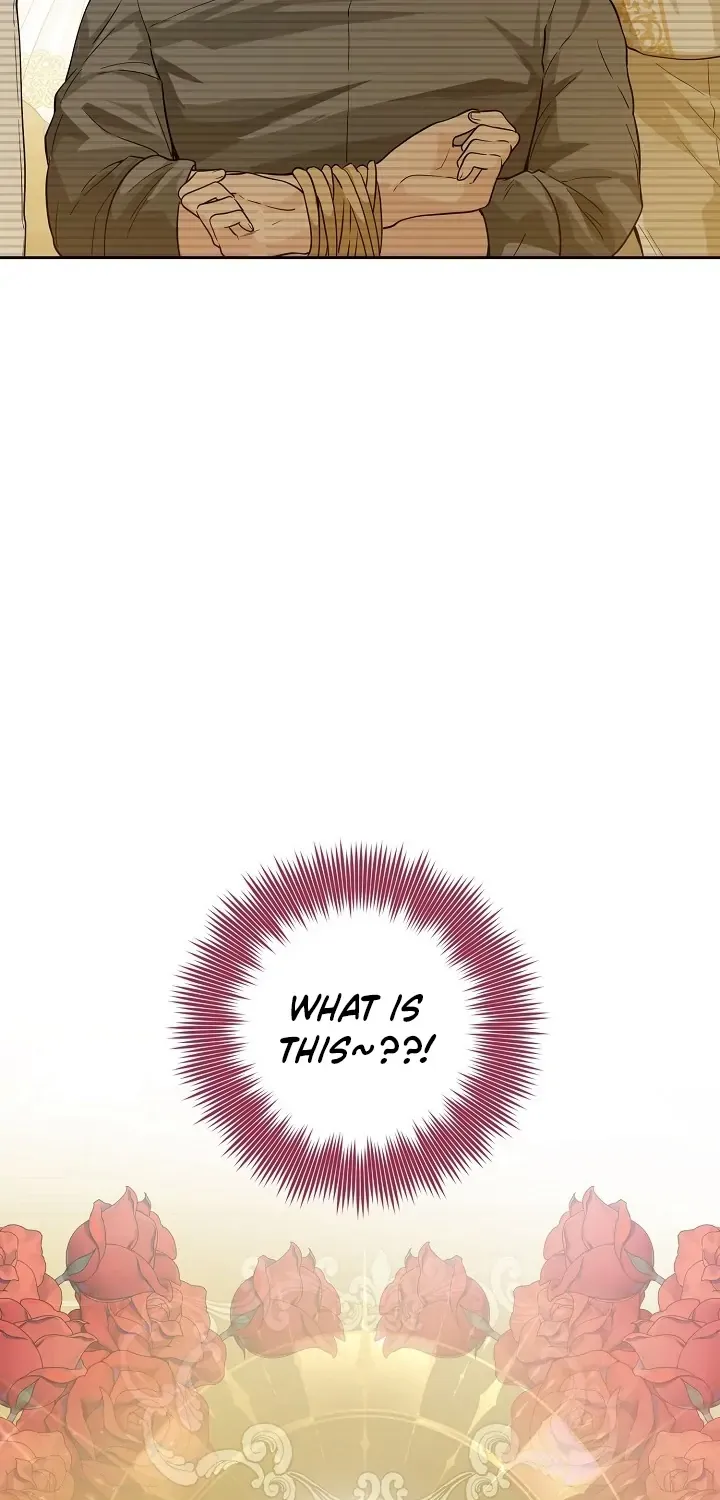 The Incognito Princess Chapter 2 page 91 - 
