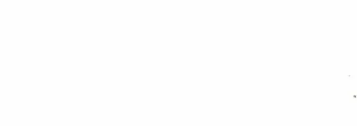 The Incognito Princess Chapter 28 page 22 - 