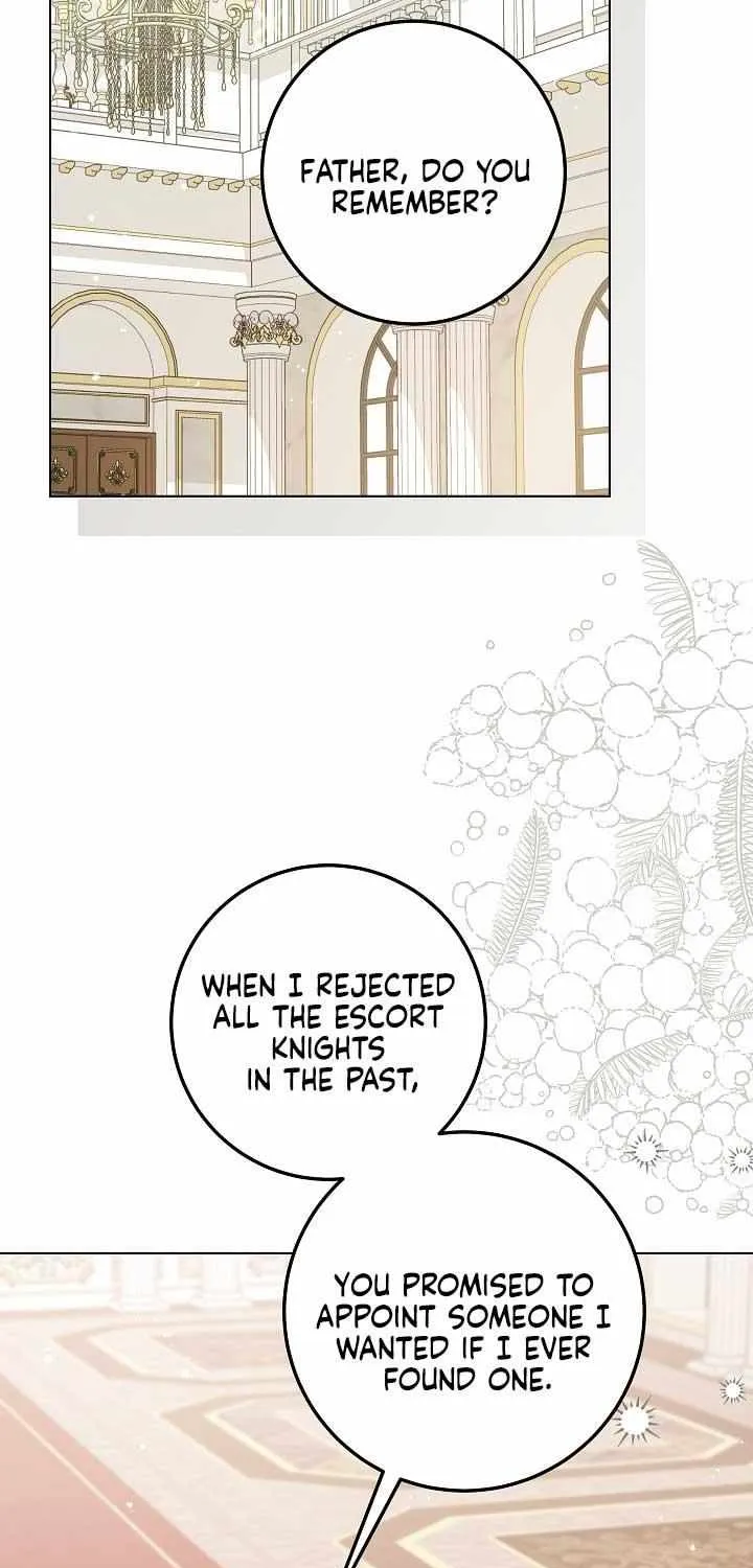 The Incognito Princess Chapter 44 page 37 - 