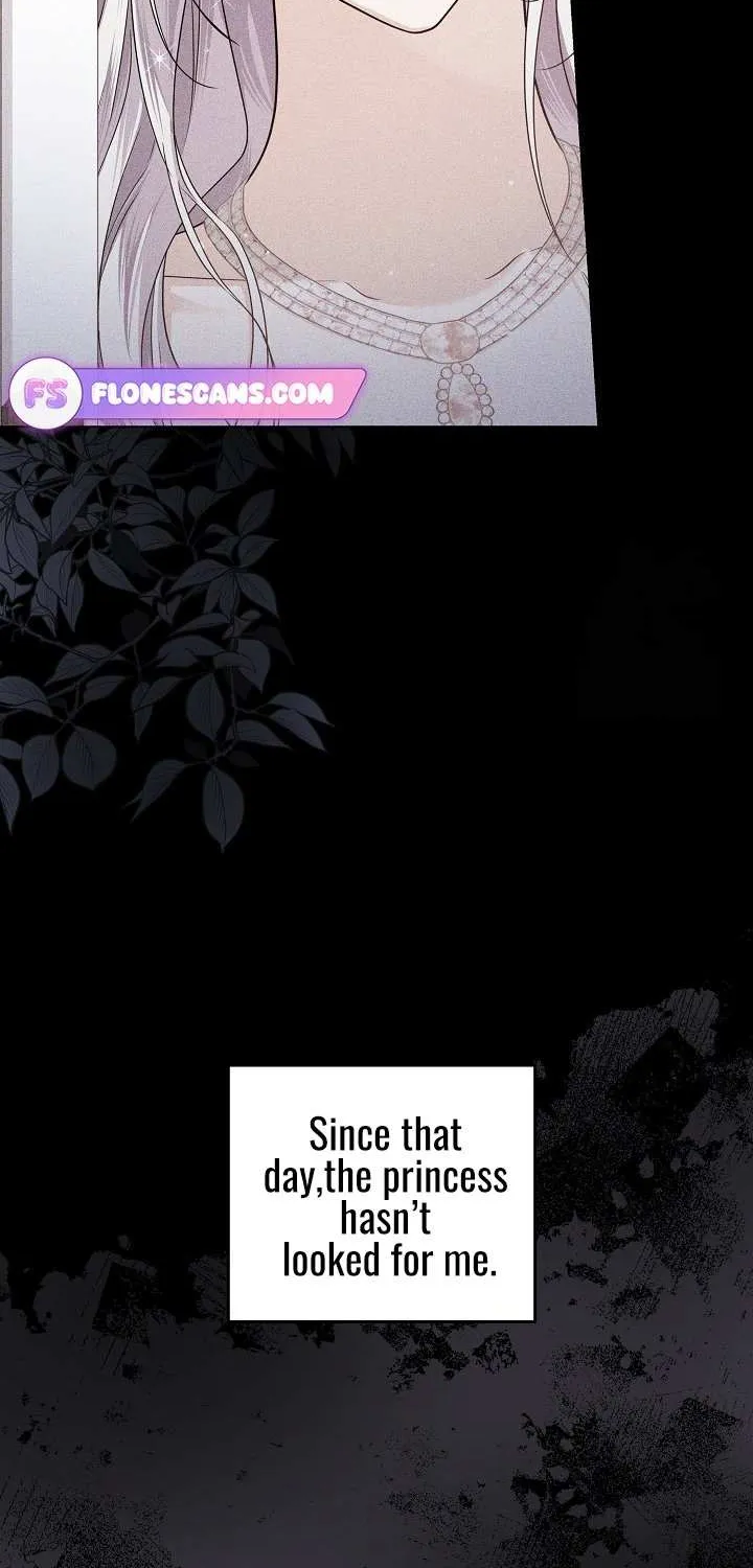 The Incognito Princess Chapter 45 page 33 - 