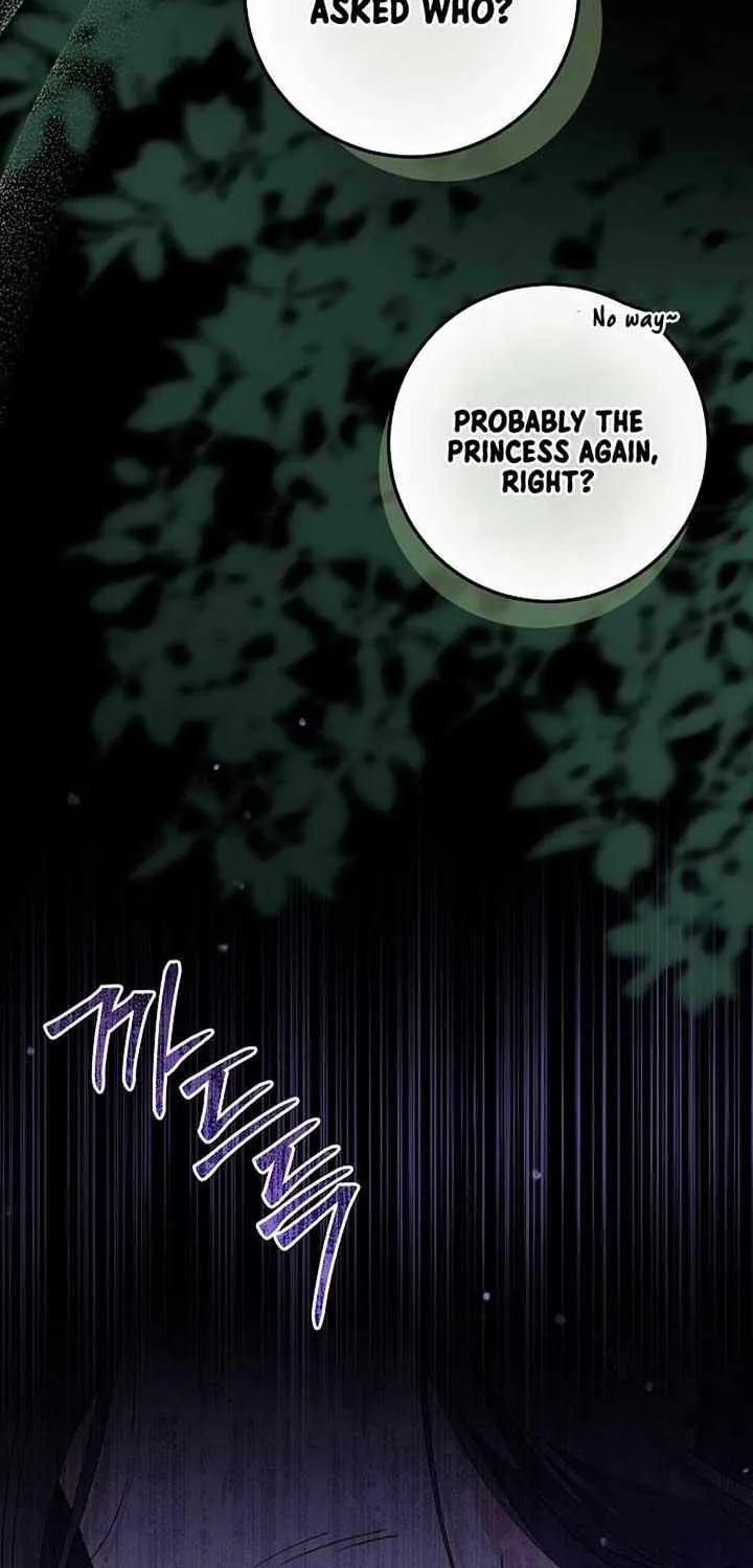 The Incognito Princess Chapter 59 page 11 - 