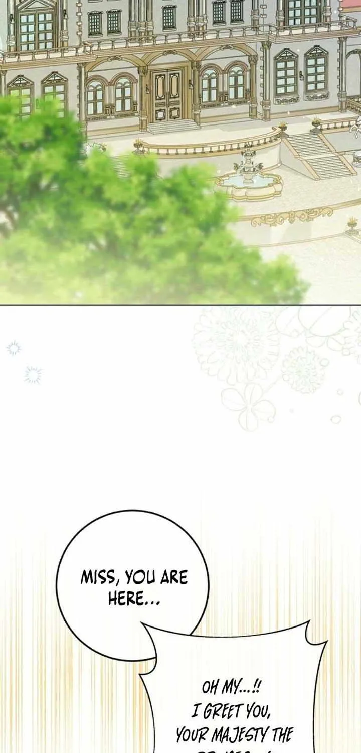 The Incognito Princess Chapter 62 page 45 - 