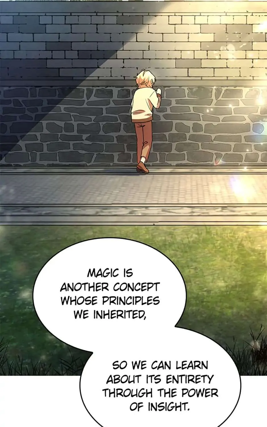 The Infinite Mage Chapter 1 page 246 - 