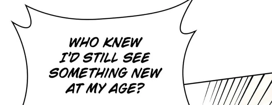 The Infinite Mage Chapter 12 page 233 - 