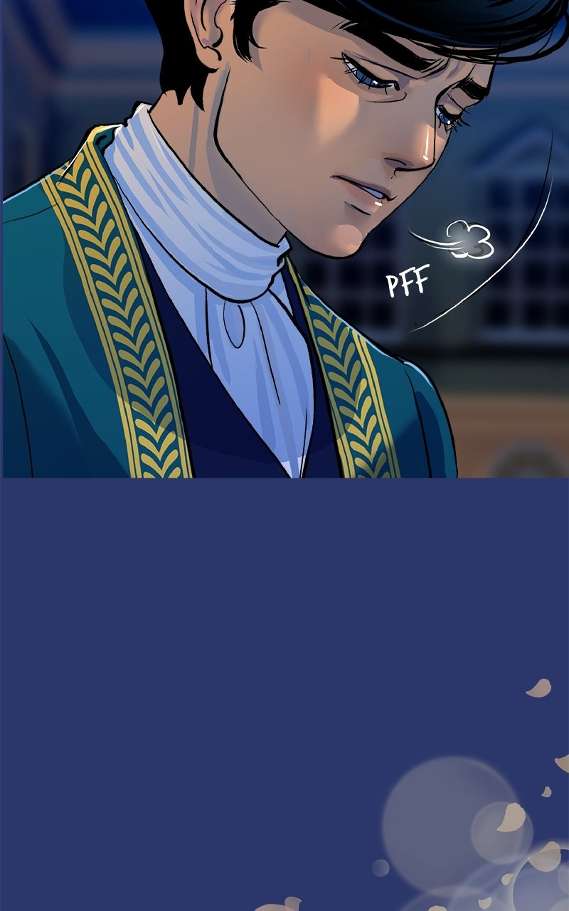 The Intrigues of the Chevalier D