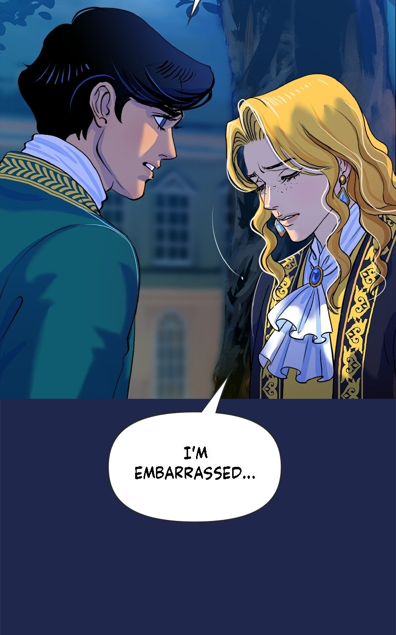 The Intrigues of the Chevalier D