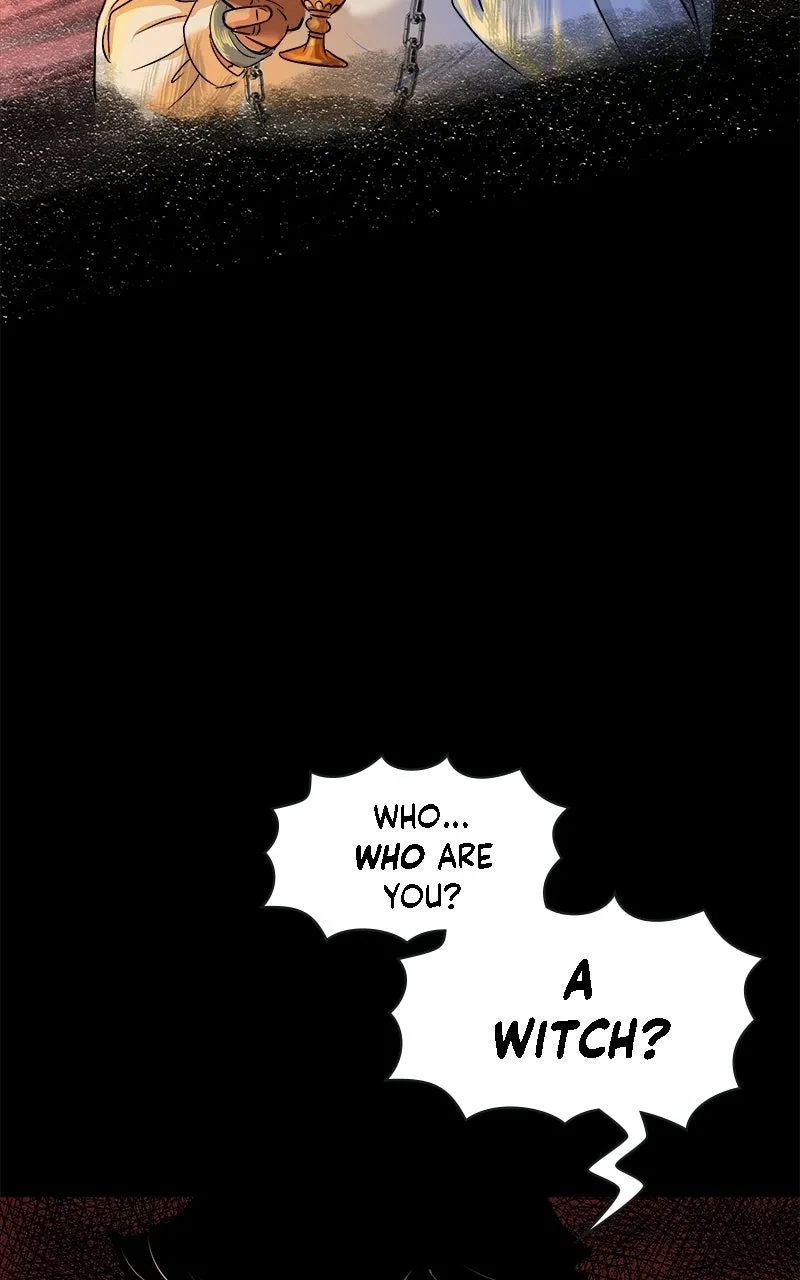 The Intrigues of the Chevalier D