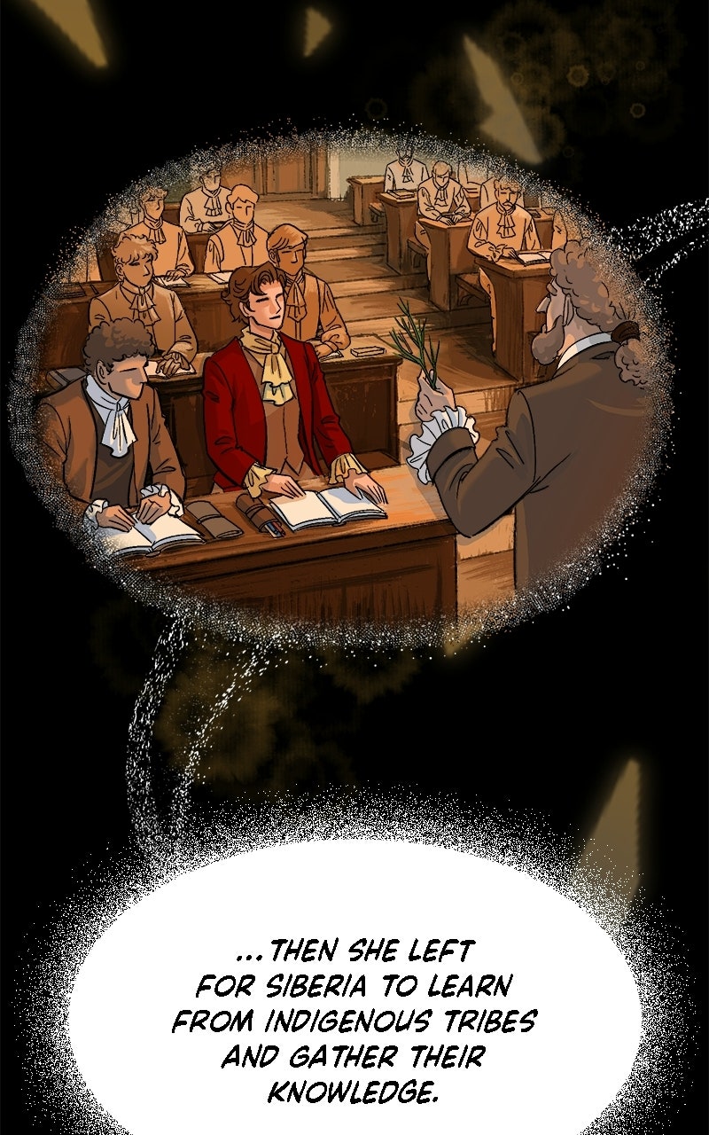 The Intrigues of the Chevalier D
