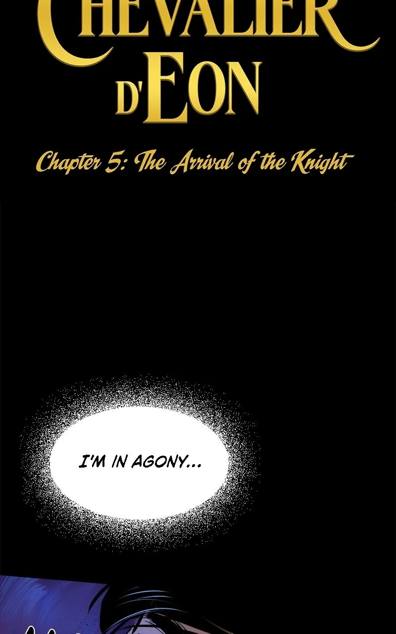 The Intrigues of the Chevalier D