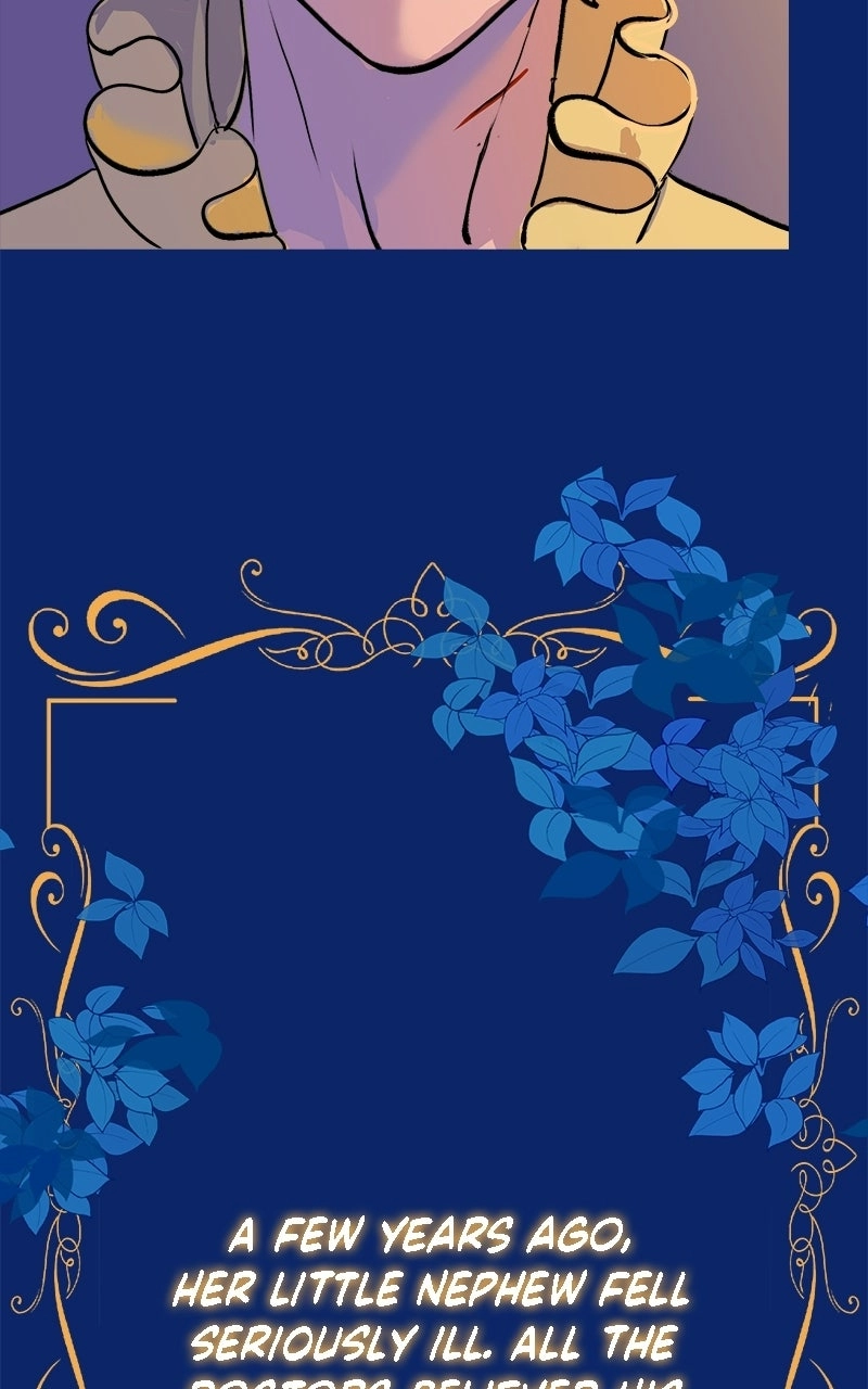 The Intrigues of the Chevalier D