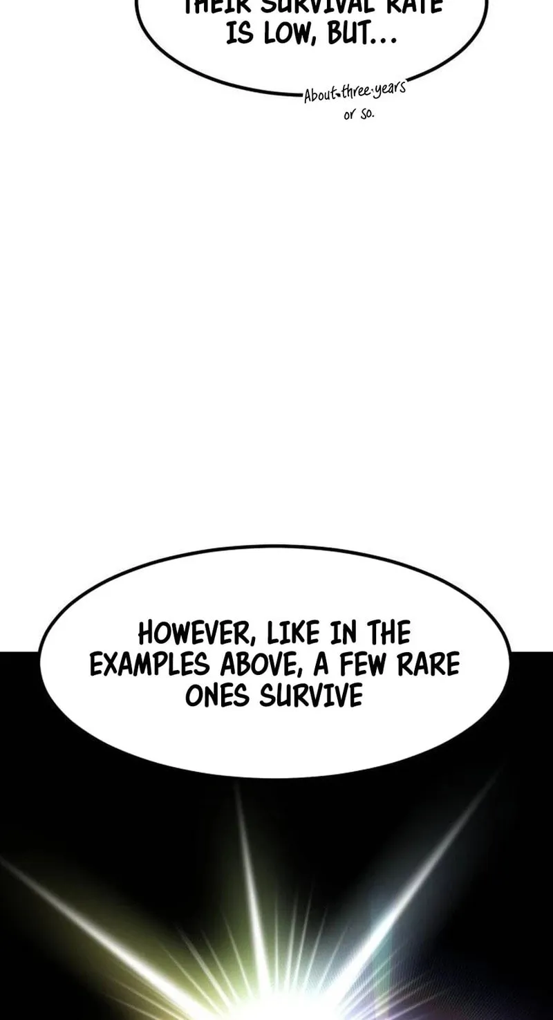 The Investor Who Sees The Future Chapter 20 page 96 - 