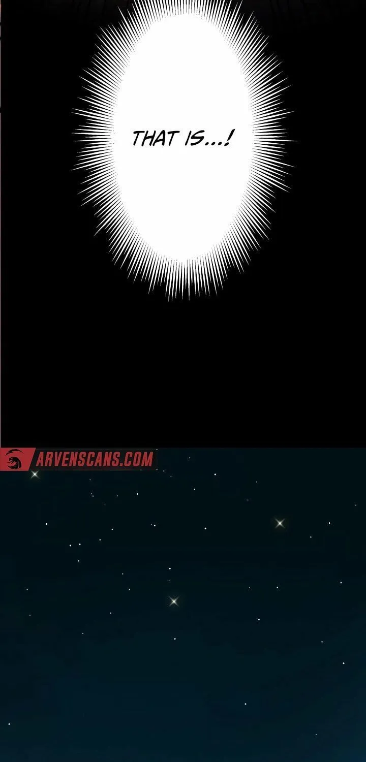 The Invincible Banished Shadow Archer Chapter 3 page 13 - 