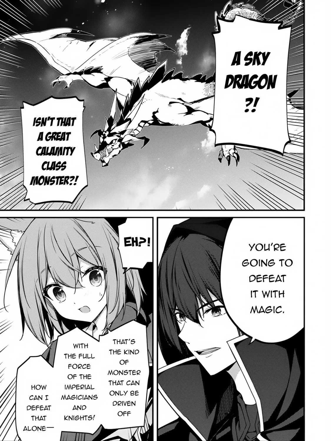 The Invincible Summoner Who Crawled up From Level 1 Chapter 12 page 13 - 