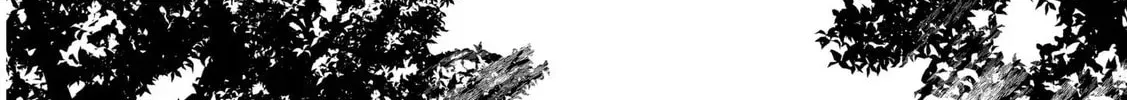 The Invincible Summoner Who Crawled up From Level 1 Chapter 3.1 page 64 - 